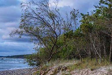 Rocket Launch Today: Status & Key Data