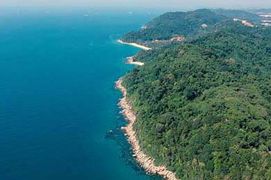 DeFi Token Performance & Investor Trends Post-October Crash: What the 2025 Data Reveals for Investors